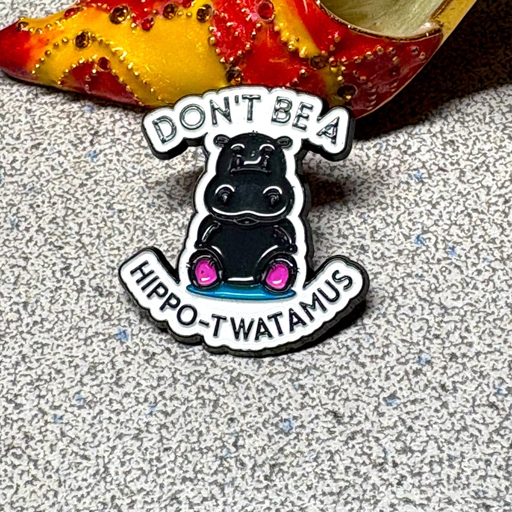 Funny rude lapel pin -enamel NWOT